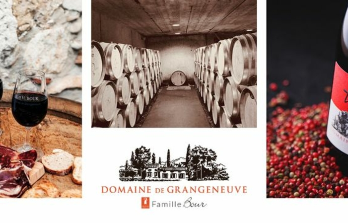 Visit and tastings of the Domaine de Grangeneuve €10.00