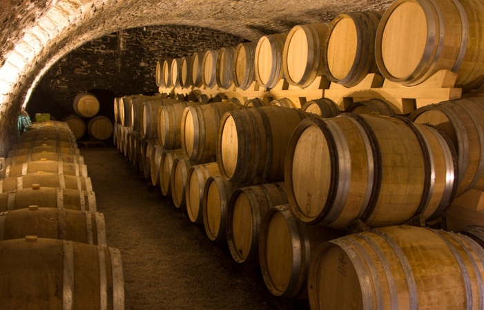 Visit and tasting at the Château de la Greffière €15.00