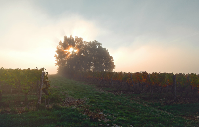 Classic Visit to Clos Triguedina €5.00