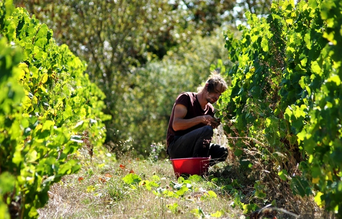 Domaine du Closel visit: Getaway to the Château des Vaults €29.00