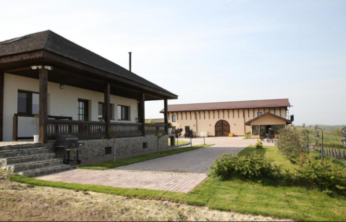 Visit Of DOMENIUL DRAGASI €14.05