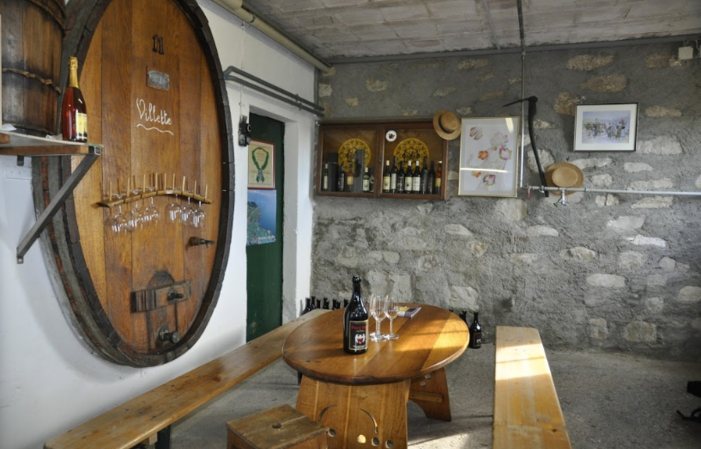 Visit and Tasting at Domaine Blondel €1.00