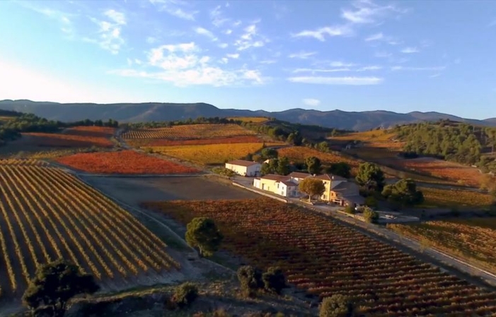 Viste and tastings of Château Sainte Eulalie €1.00