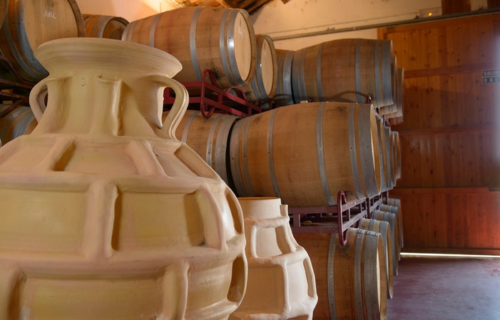 Visit and tasting : walking among the vineyards in Parés Baltà €22.50