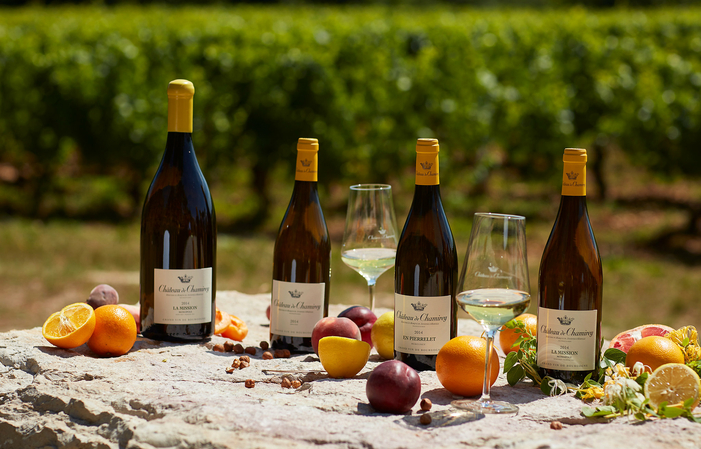 Itinerary in the heart of the vineyards of château de Chamirey €25.00