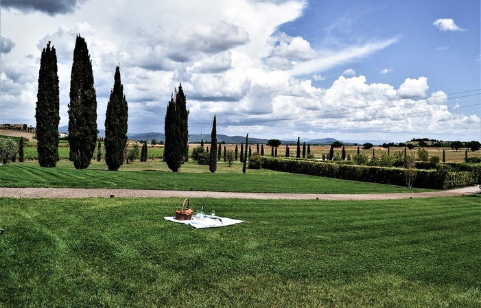 Tenuta Fertuna: Tasting of 3 wines accompanied by taralli of our production €20.00