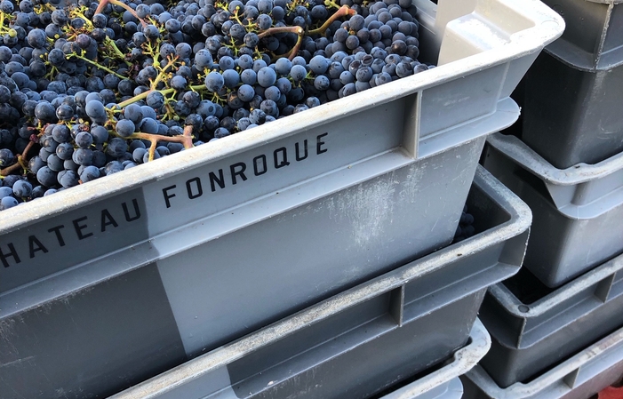 Visit and tastings of the castle Fonroque €15.00