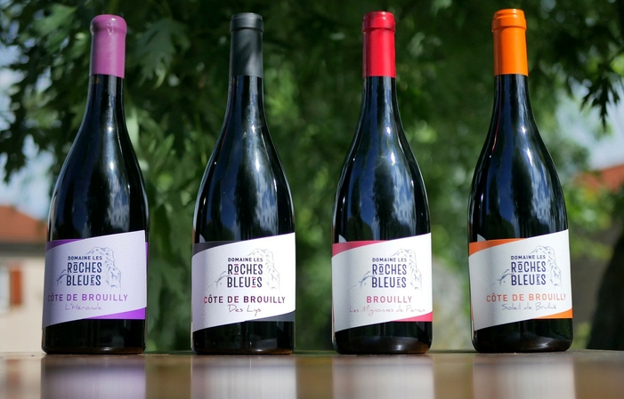Visit and tasting at the Domaine des Roches Bleues €15.00