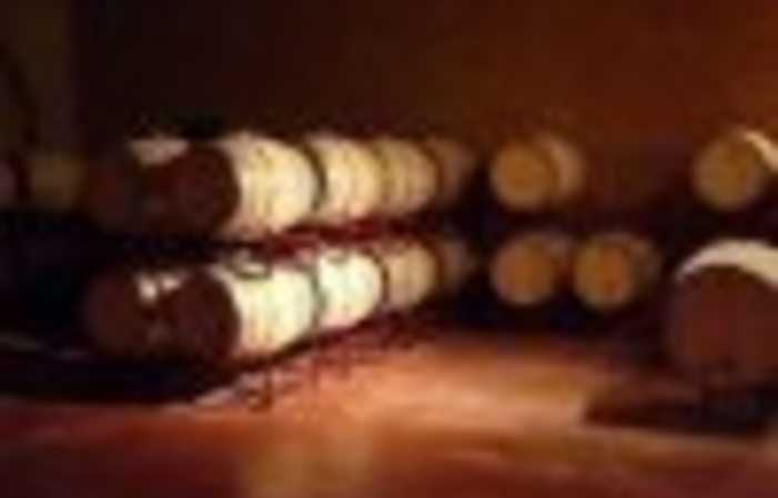 Visit and tastings of Bodega Belasco de Baquedano €1.00