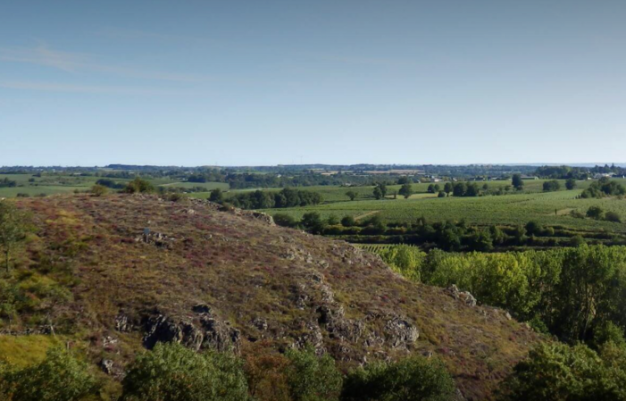 Visit and tastings of Domaine Ogereau €1.00