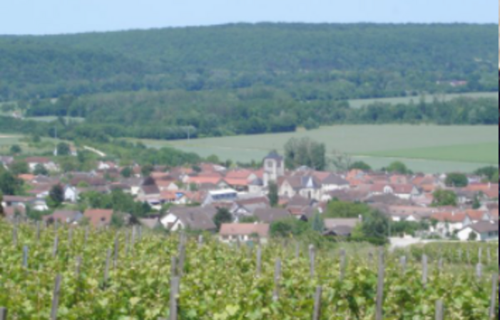 Visit De La Maison de Champagne Eric Maitre €1.00