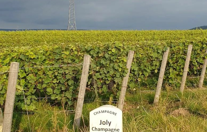 Visit of the Cellier, Champagne Joly €1.00
