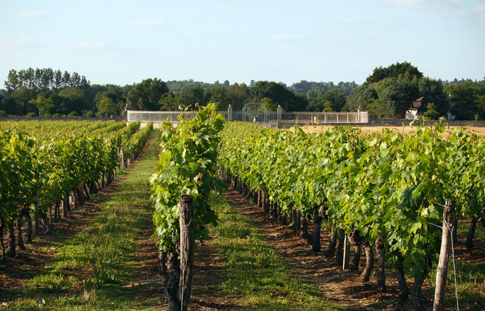 Visit and Tasting at Vaugaudry Castle €1.00