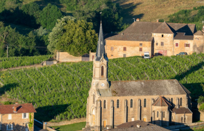 Visit and tastings at Domaine Merlin €1.00