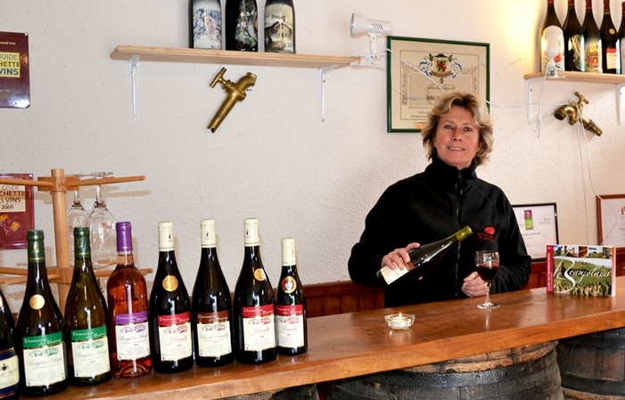 Visit and tasting at the estate €6.00