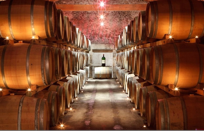 Visit and tastings of Chateau Escot €1.00