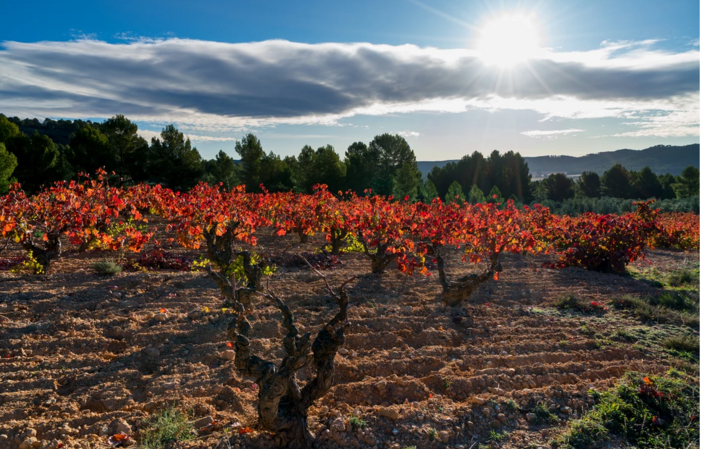 Visit the Domain Via Memorias €1.00