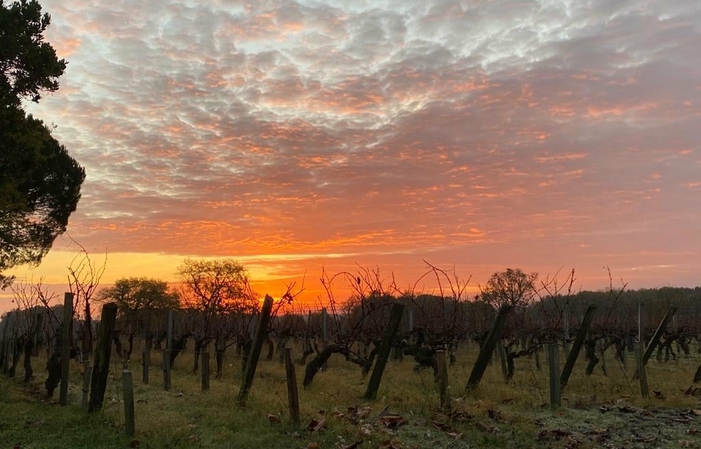 Visit and Tasting at Château Fourcas Dupré €1.00