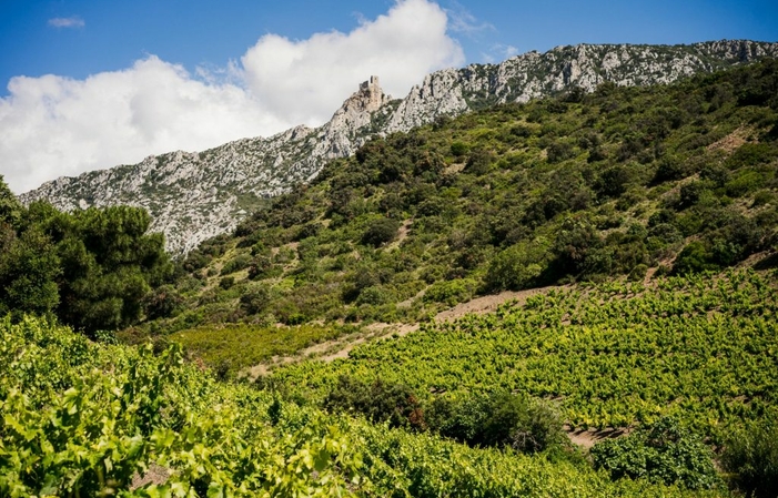 Visit and Tasting DOMAINE CHRISTOPHE MARIN €1.00