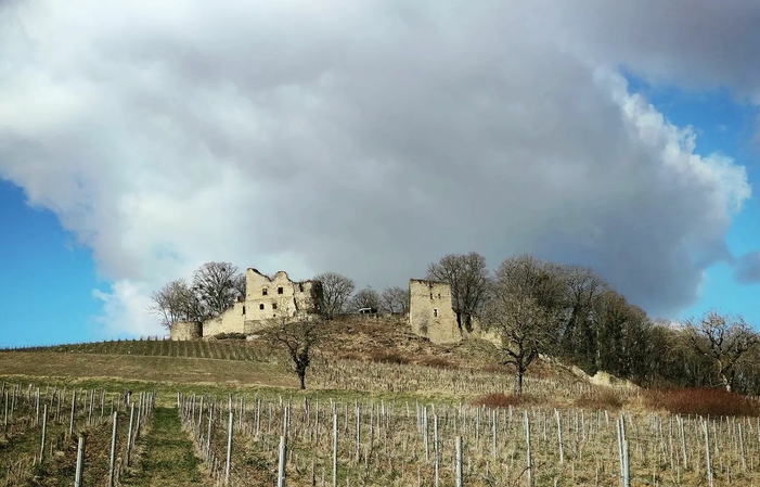 The visit of the Park, the Fortress and the Garden of Games at the Château d'Arlay €1.00