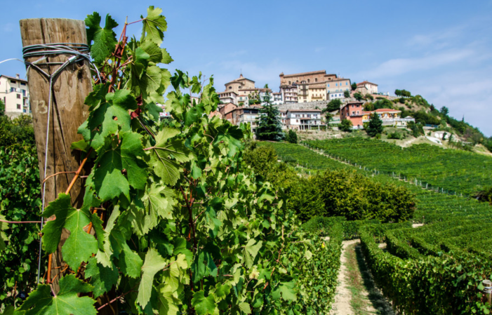 Visit and Tasting at Domaine Roberto Voerzio €1.00