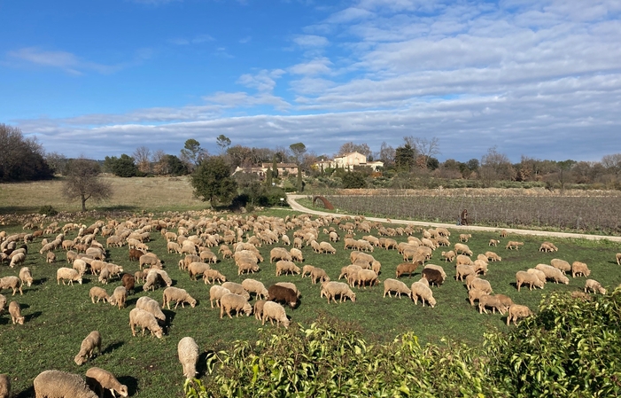 Visit and Tasting at Château Carpe Diem €1.00