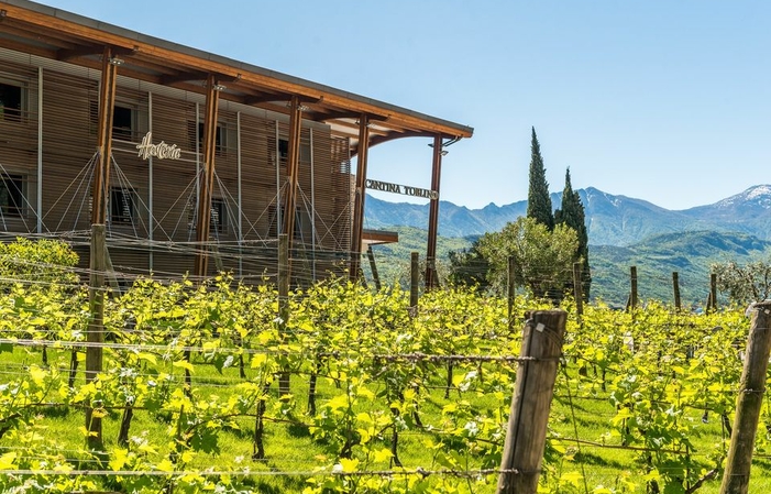 Trentino's heart at the Toblino Cave €18.00