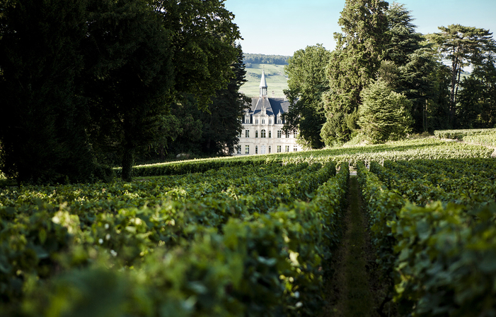 Walk and Tasting at the Château de Boursault €12.00