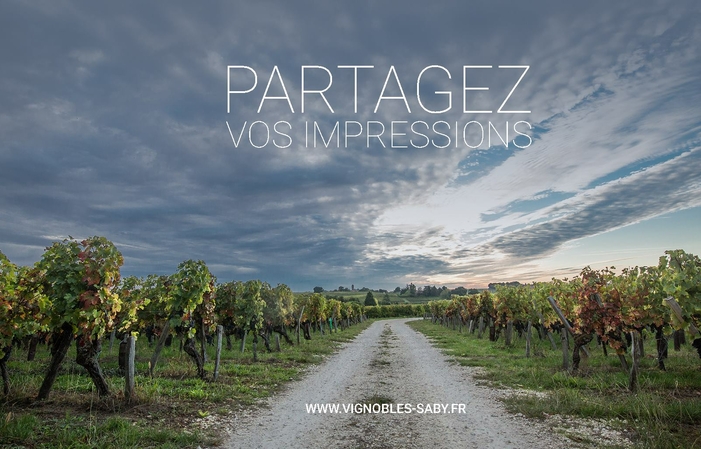 Visit and tastings of the saby vineyard €5.00