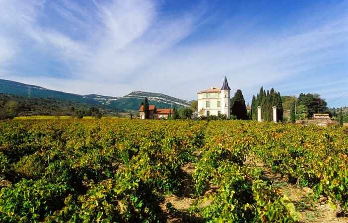 Visit and Tasting at Château La Baronne €1.00