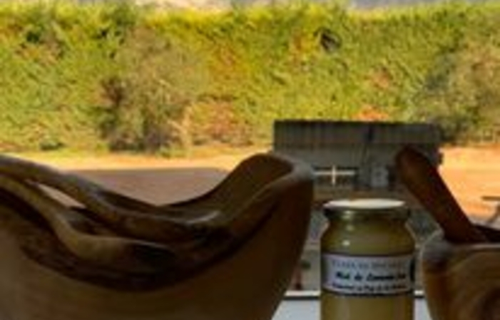 Visit and tastings at Domaine Terre de Mistral €13.00
