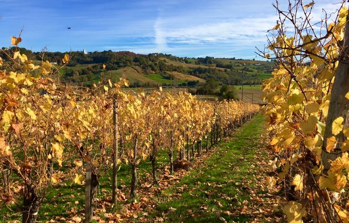 Visit Domaine Bordenave €1.00