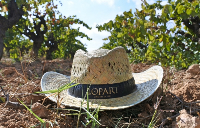 Visit and tasting with local picnic at Llopart winery (Barcelona Wine Area) : Leopardi Tour €39.00