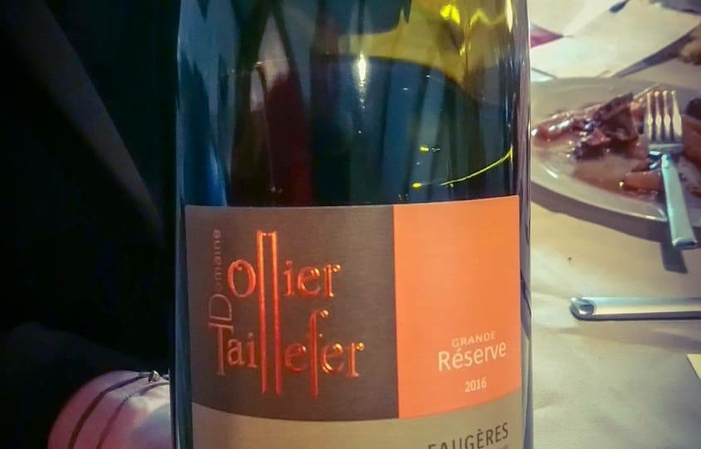 Visit and tastings at Domaine Ollier Taillefer €10.00
