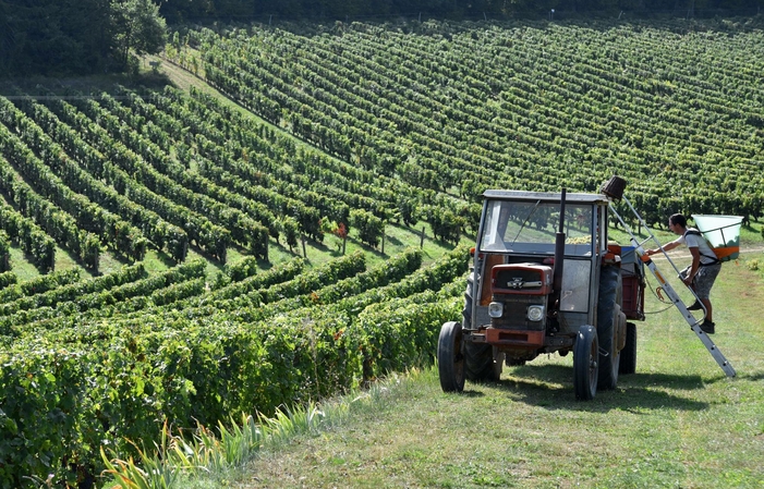 Visit and tastings of the DOMAINE DE LA NOBLAIE €1.00