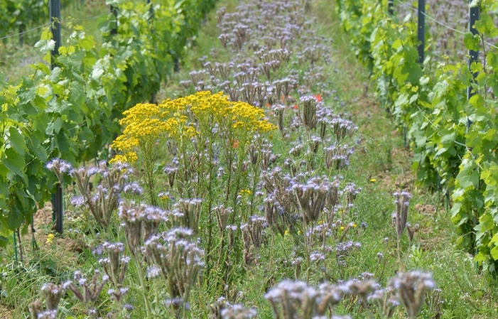 Visit and tastings of Domaine Frédéric Berne €15.00