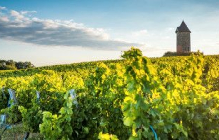 Visit and tasting at Château Martet €1.00