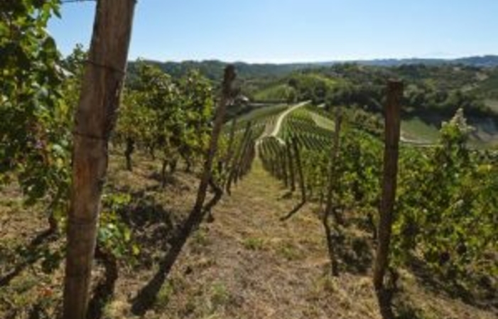 Visit the Antica Cascina dei Conti di Roero estate €1.00