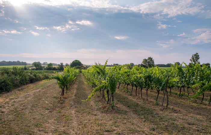 Visit Deleuze-Rochetin Estate €6.00