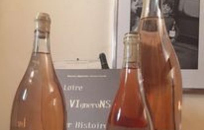 Visit and tastings of Domaine Mabillot €1.00