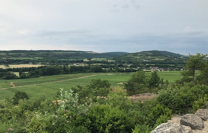 PRIVATE TOUR Côte de Beaune, Côte de Nuits, Hautes ¥46,381