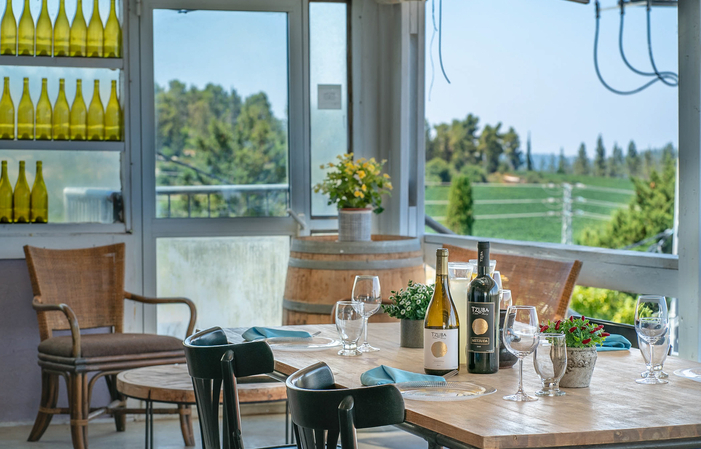 Visit and tasting Tzuba estate winery €12.80