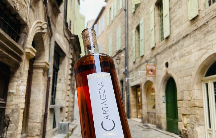 Visit and tasting of Domaine Castan €1.00