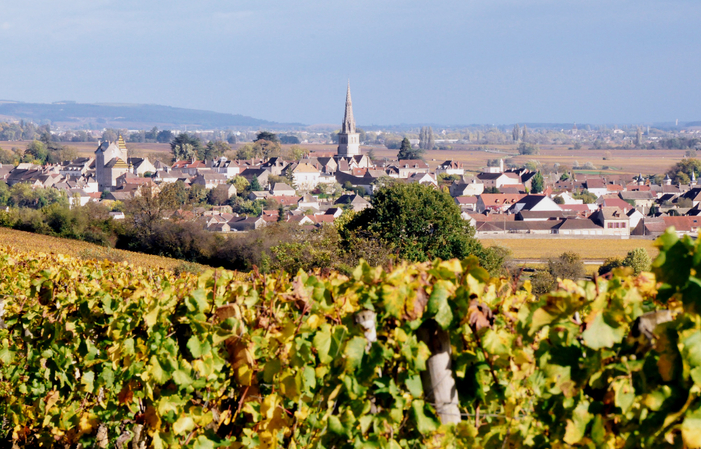 PRIVATE TOUR Côte de Nuits €185.00