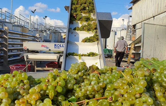 Visit Of Tulip Winery €13.00