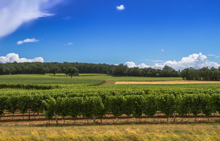 Visit Chai Armagnac Veuve Goudoulin €1.00