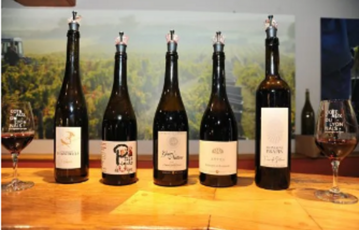 Visit and Tasting at the Domaine de Prapin €10.00