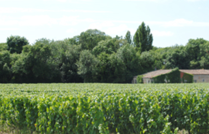 Visit and Tasting at Château Haut Mortefont €1.00