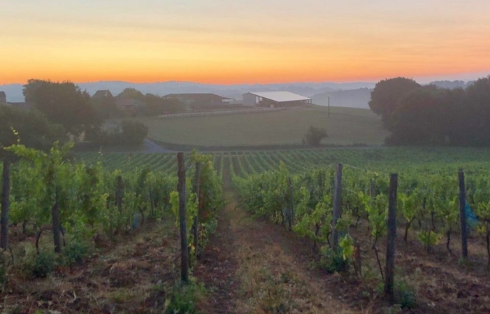 Visit to the tasting of the Domaine de Bonaguil €1.00