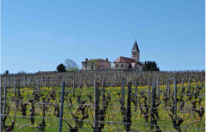 Visit and tasting at Domaine Montbarbon €1.00